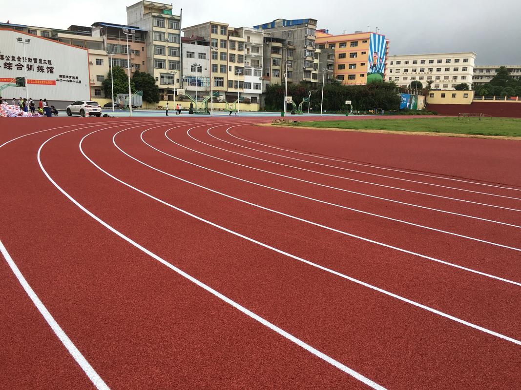 丽江市EPDM颗粒塑胶跑道材料 - 推荐